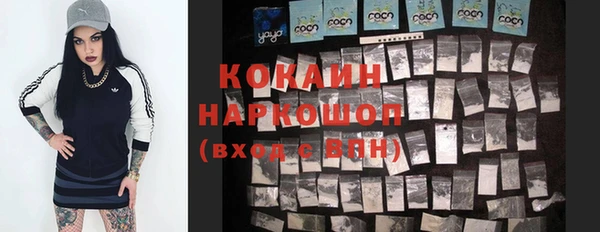 индика Алексин