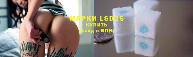 индика Алексин