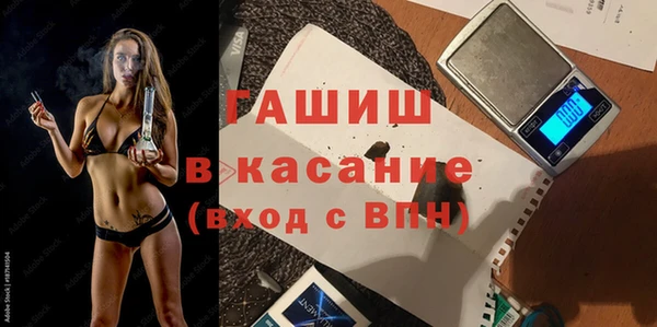индика Алексин
