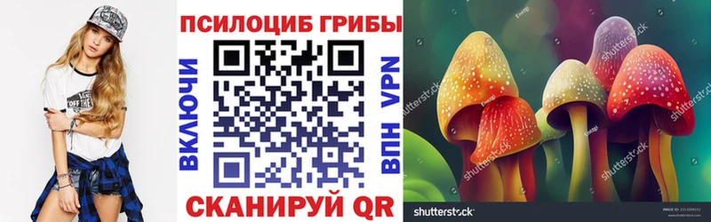 Псилоцибиновые грибы мицелий  Жуковка 